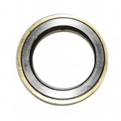 Thrust Bearing For CASE TLB, A 027602, Aftermarket