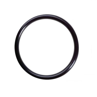 Oring For CASE TLB, D 038755, Pack of 5, Genuine